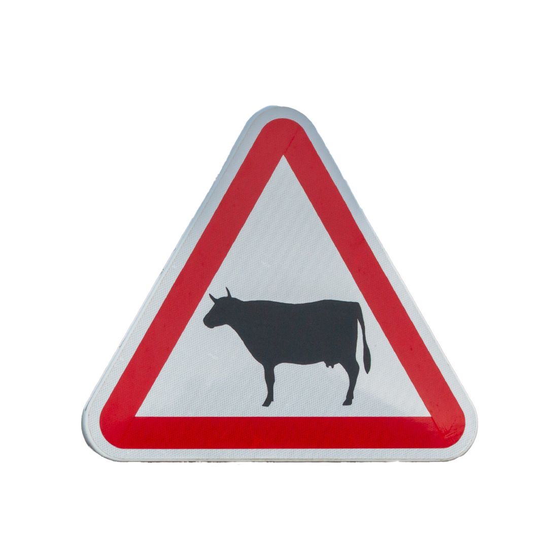 Triangular road sign with a thick red border and a a black silhouette of a cow on a white background.